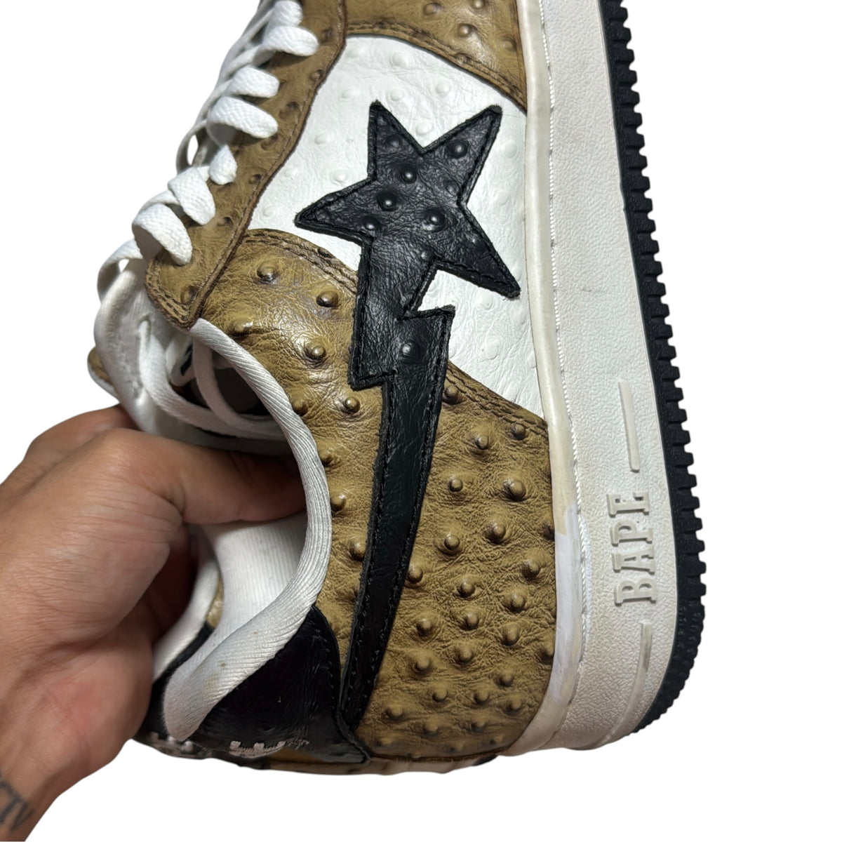 2009 ostrich Bapesta (10)