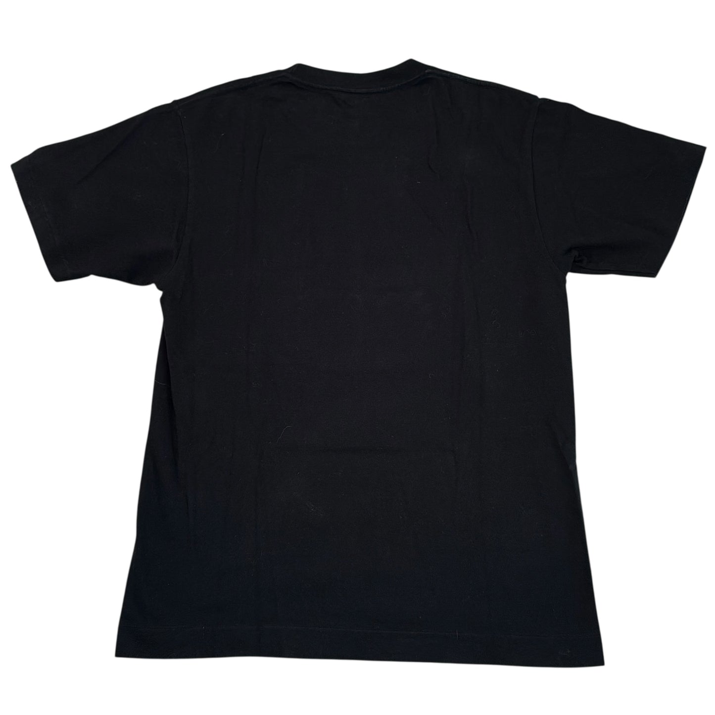 2002 Bape sunset ape head tee (Medium)