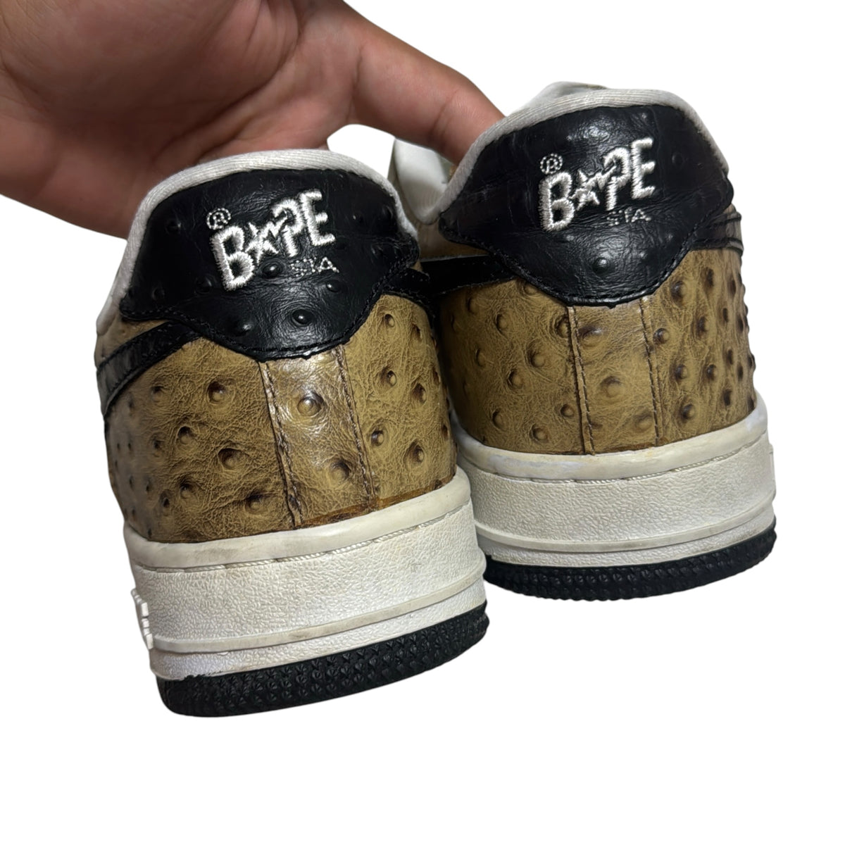2009 ostrich Bapesta (10)