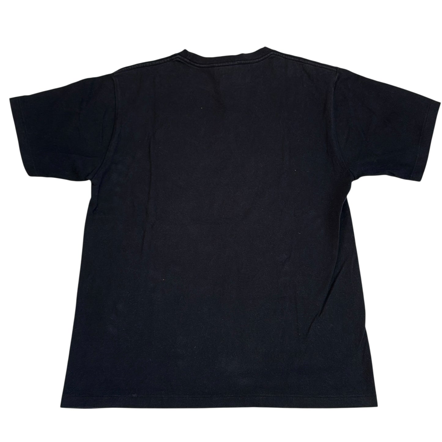 2014 Baby Milo dinosaur tee (Medium)