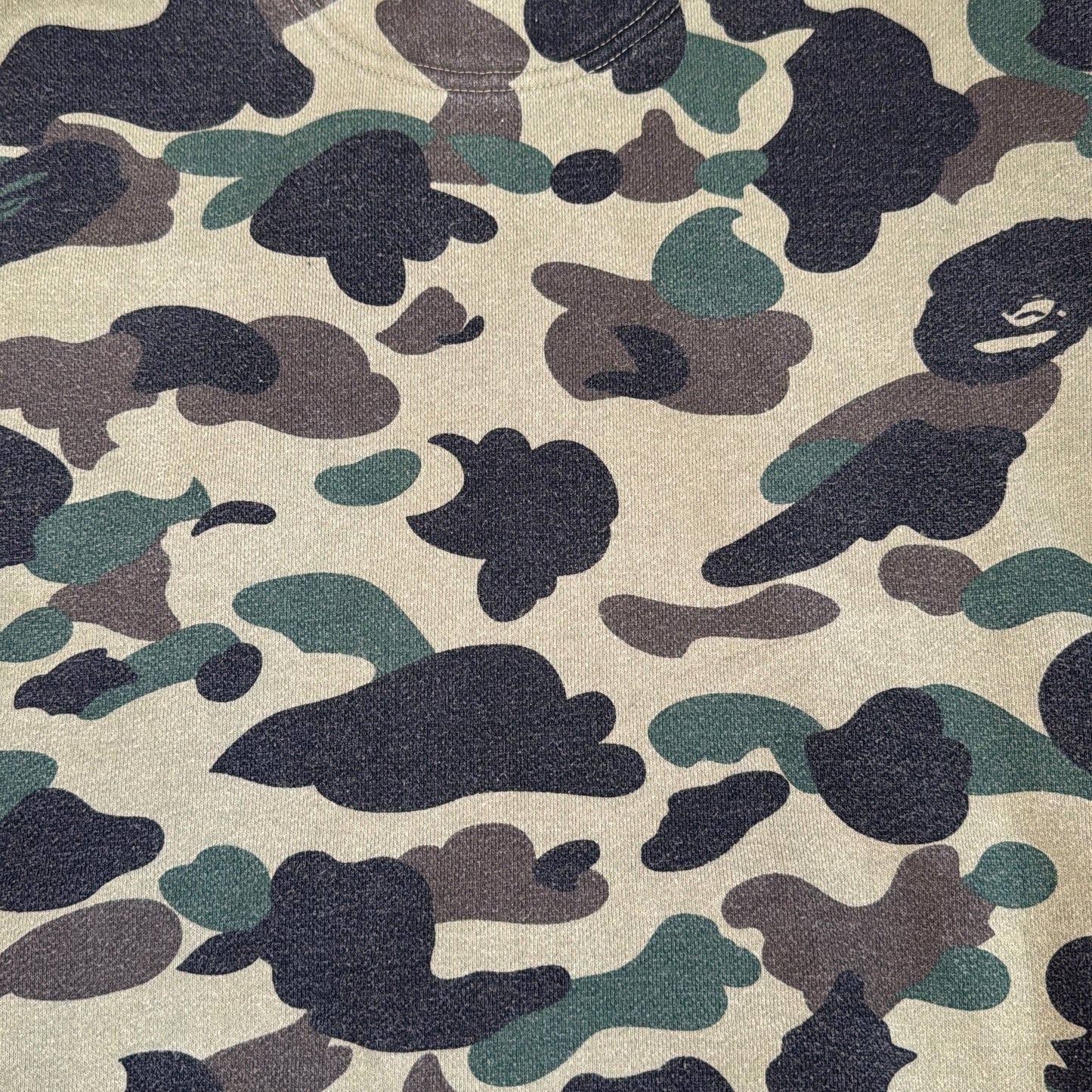 2016 Bape x champion hoodie (Small)