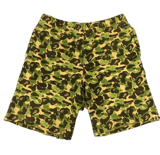 2001 Bape x kaws shorts (Large)